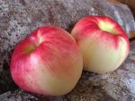 Denman Island Heritage Apples