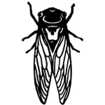 Cicada Seeds